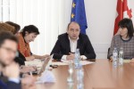 შეხვედრა ევროკავშირის წვერი ქვეყნების სავაჭრო-ეკონომიკურ მრჩევლებთან საქართველოში