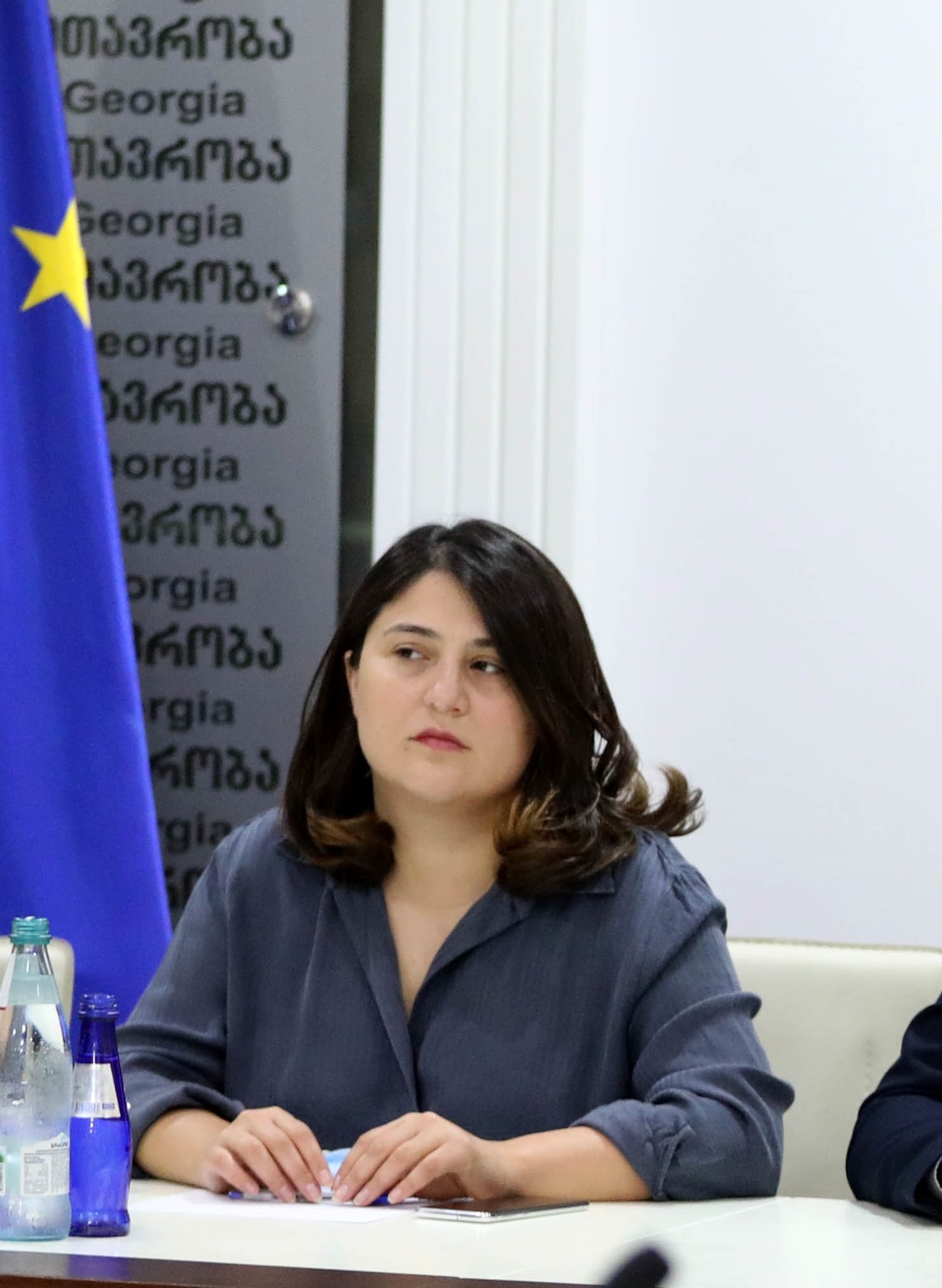 Deputy Business Ombudsmen of Georgia